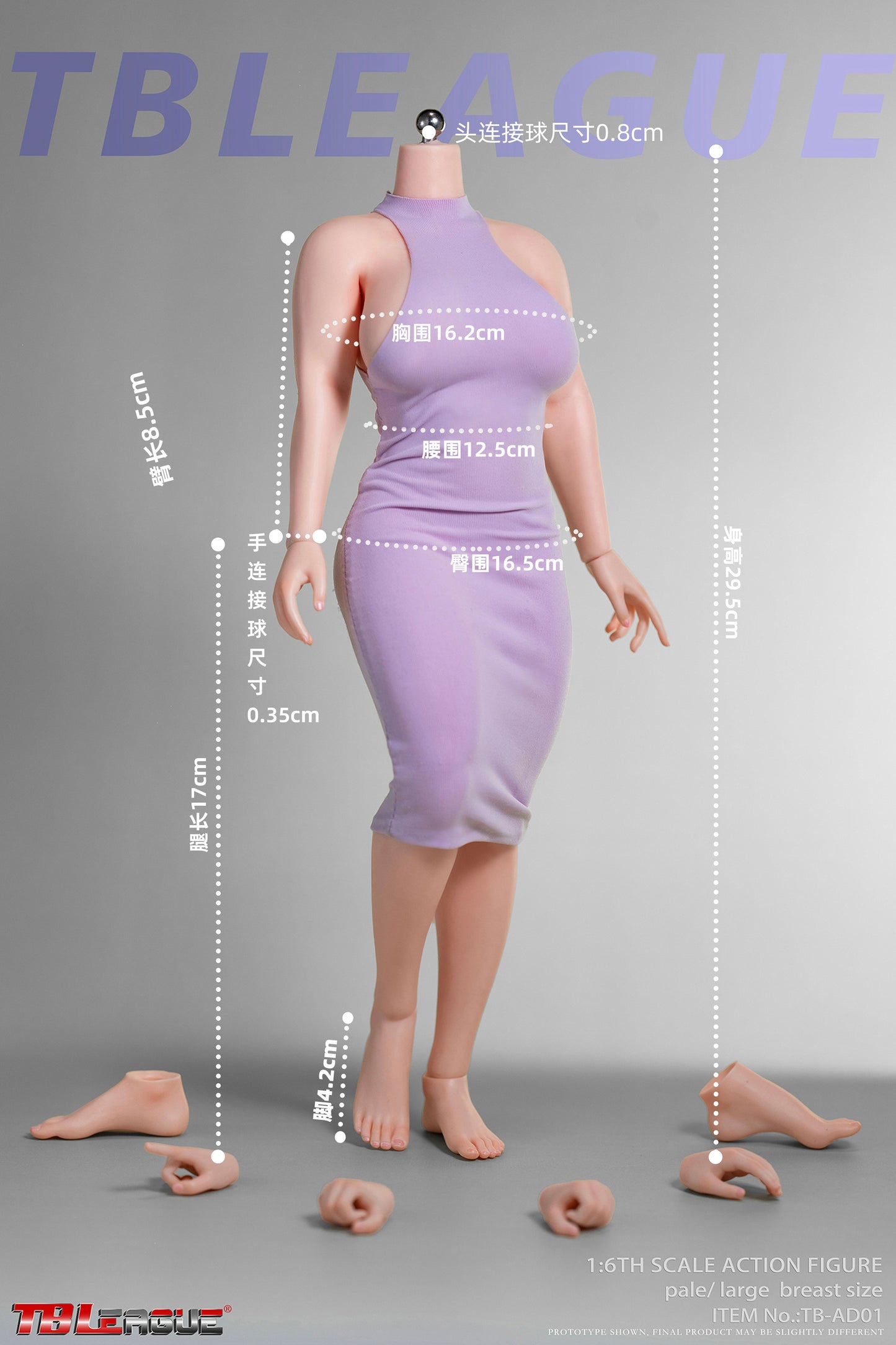 PRE ORDER – 1/6 CURVY SEAMLESS METAL SKELETON FEMALE BODY WITHOUT HEAD SCULPT PALE TB-AD01