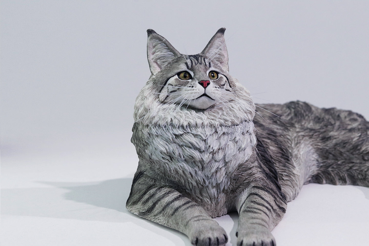 PRE ORDER – 1/6 MAINE COON D2507A