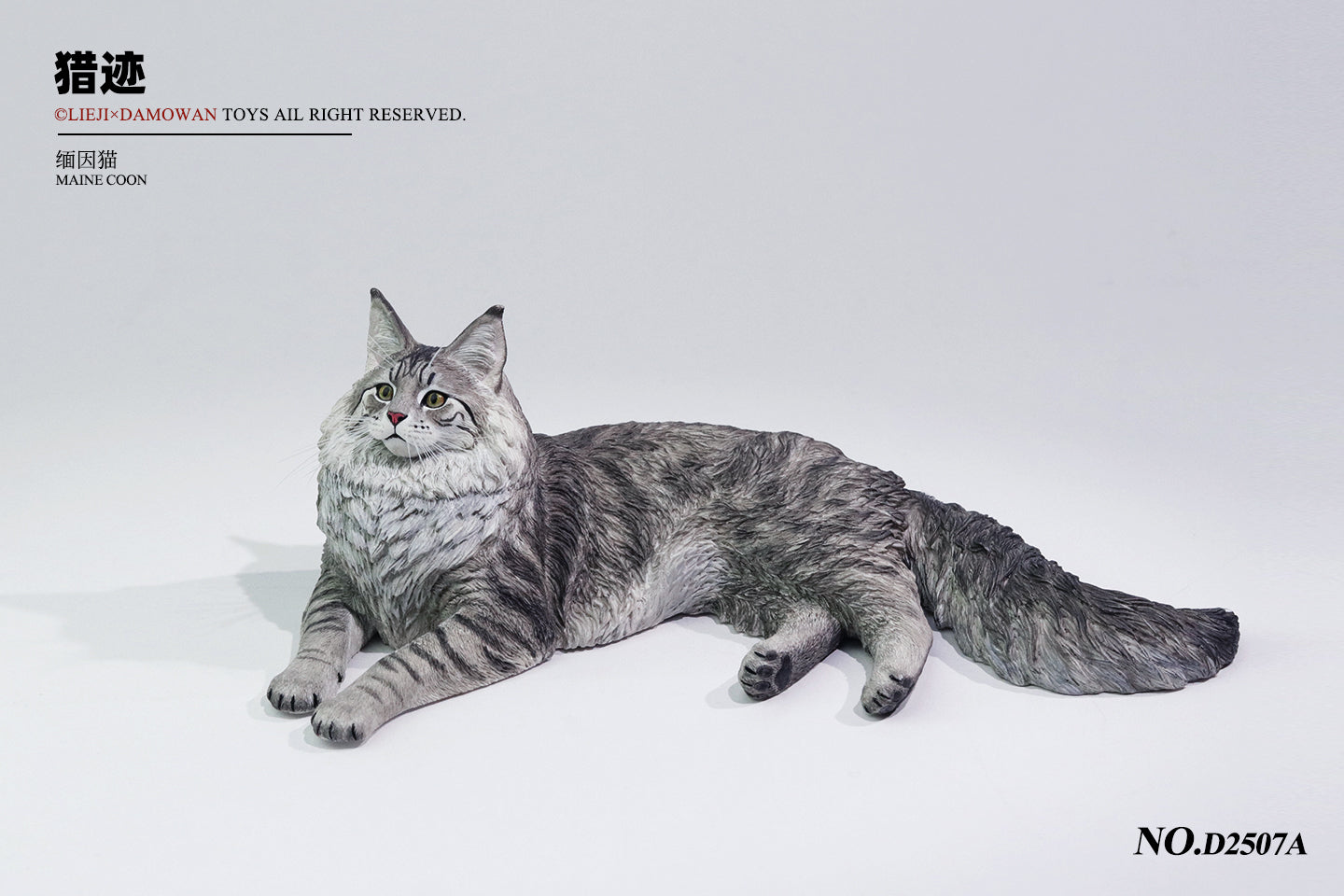 PRE ORDER – 1/6 MAINE COON D2507A