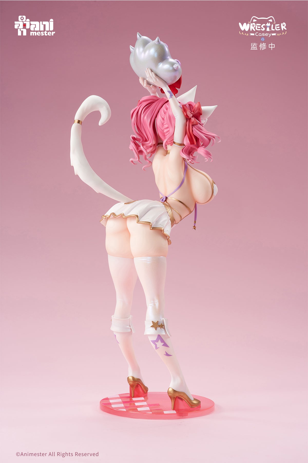 PRE ORDER – 1/6 ANIMESTER WRESTLER CASEY FIGURE W FURRY PIECE & SMOOTH PURSUIT EYES