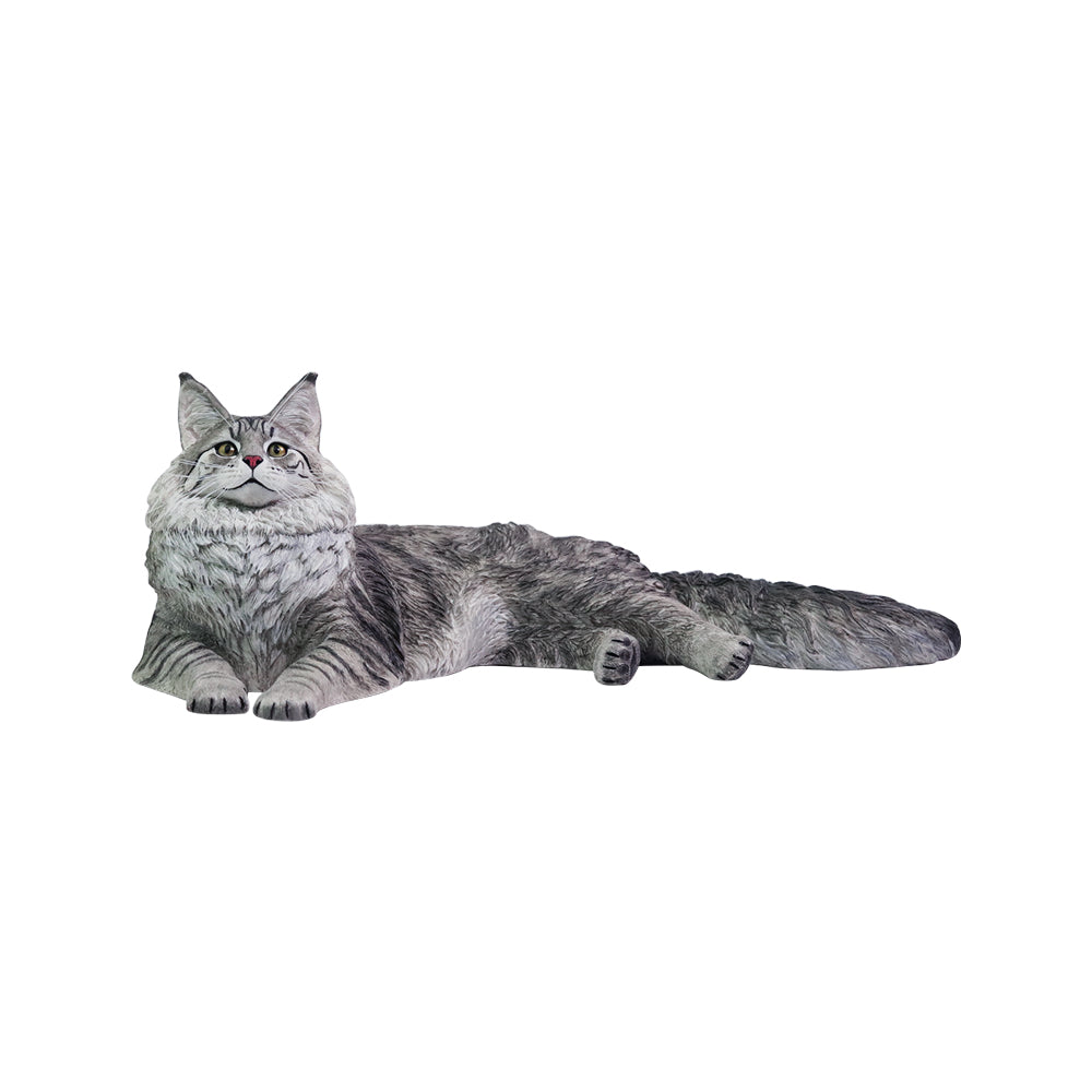 PRE ORDER – 1/6 MAINE COON D2507A