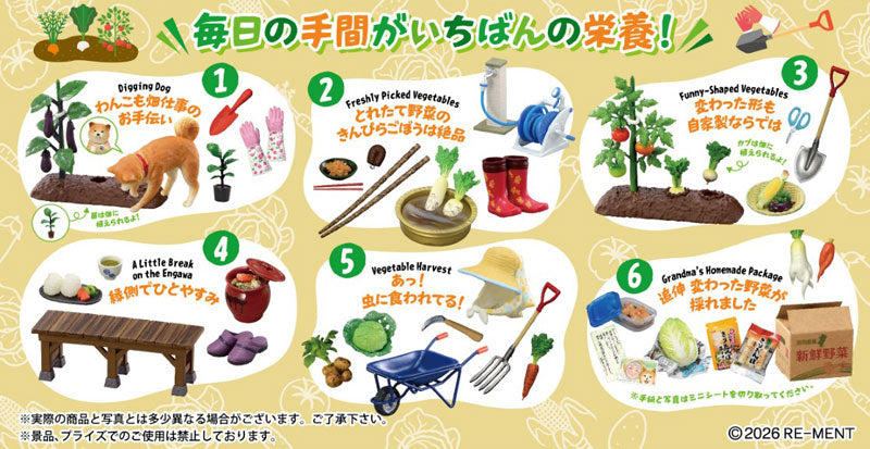 PRE ORDER – VEGETABLE HARVESTING (SET OF 6)