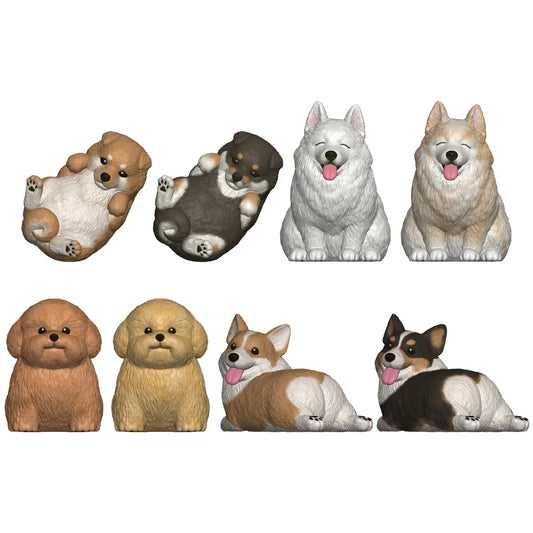 PRE ORDER – MOCCHIRI KORORIN ♪DOGS W/O GUM (BOX OF 12)