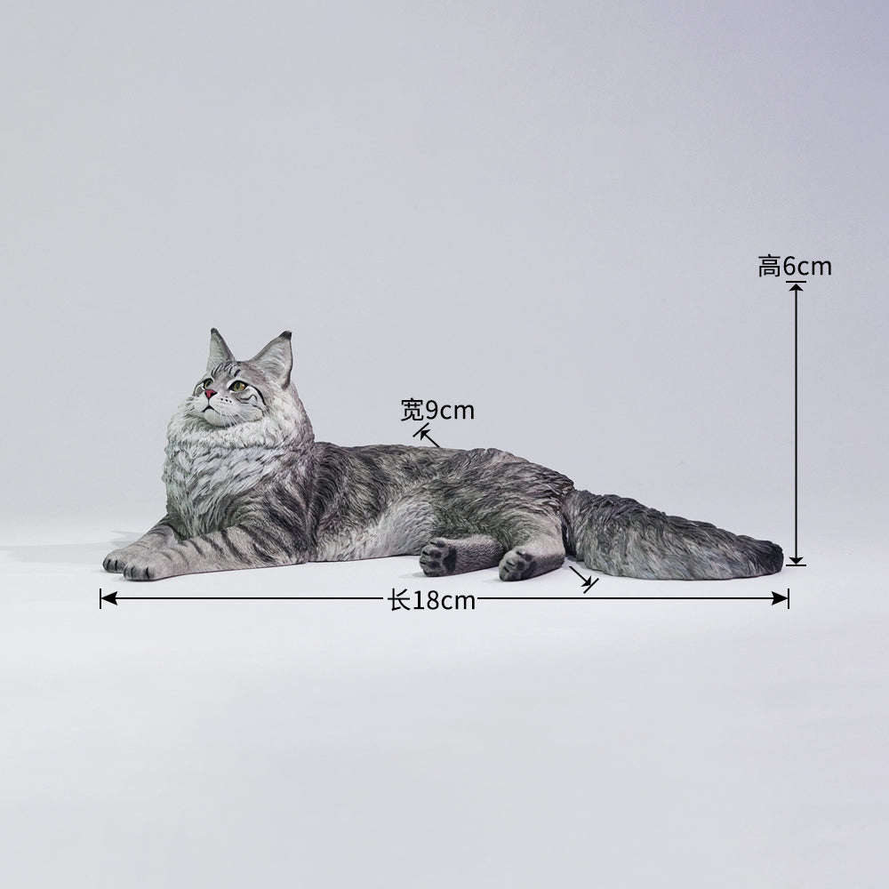 PRE ORDER – 1/6 MAINE COON D2507A