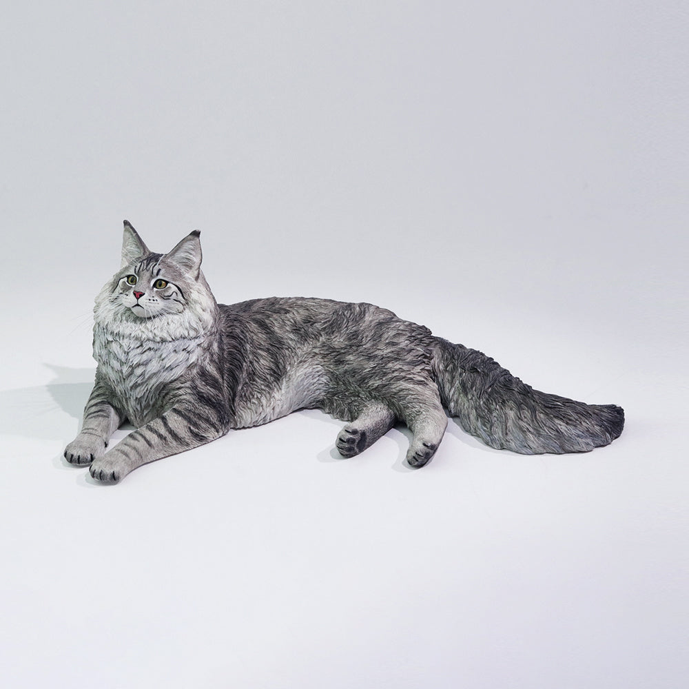 PRE ORDER – 1/6 MAINE COON D2507A