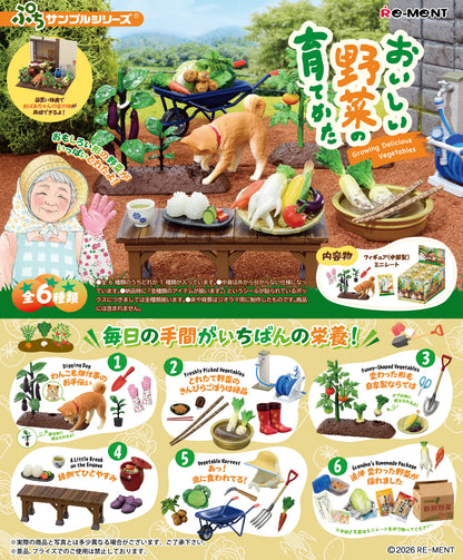 PRE ORDER – VEGETABLE HARVESTING (SET OF 6)