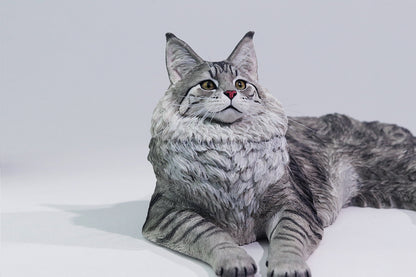 PRE ORDER – 1/6 MAINE COON D2507A