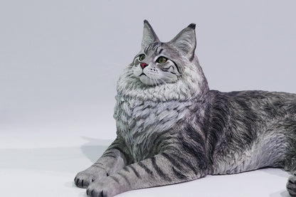 PRE ORDER – 1/6 MAINE COON D2507A