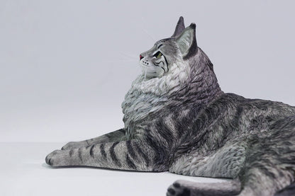 PRE ORDER – 1/6 MAINE COON D2507A