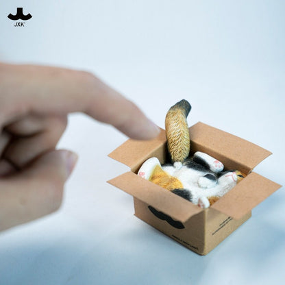 PRE ORDER – JXK & SMALL CARDBOARD BOX CAT 5.0 JS2504C