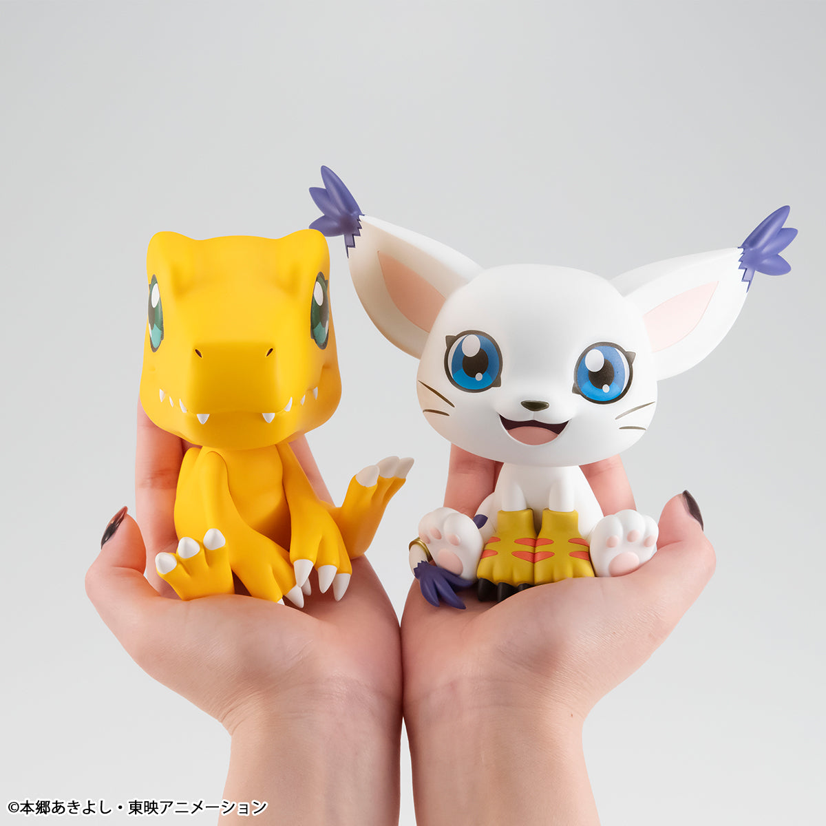 PRE ORDER – LOOKUP DIGIMON ADVENTURE - AGUMON (REPEAT)
