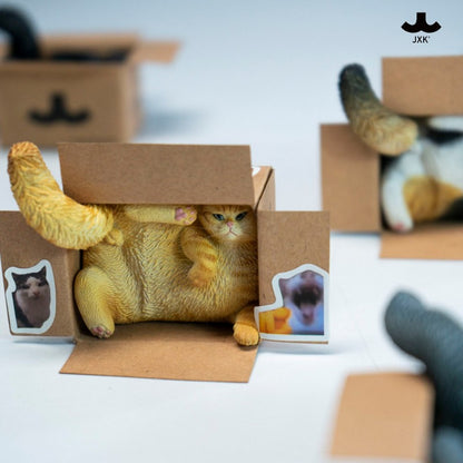 PRE ORDER – JXK & SMALL CARDBOARD BOX CAT 5.0 JS2504A