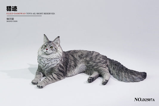 PRE ORDER – 1/6 MAINE COON D2507A