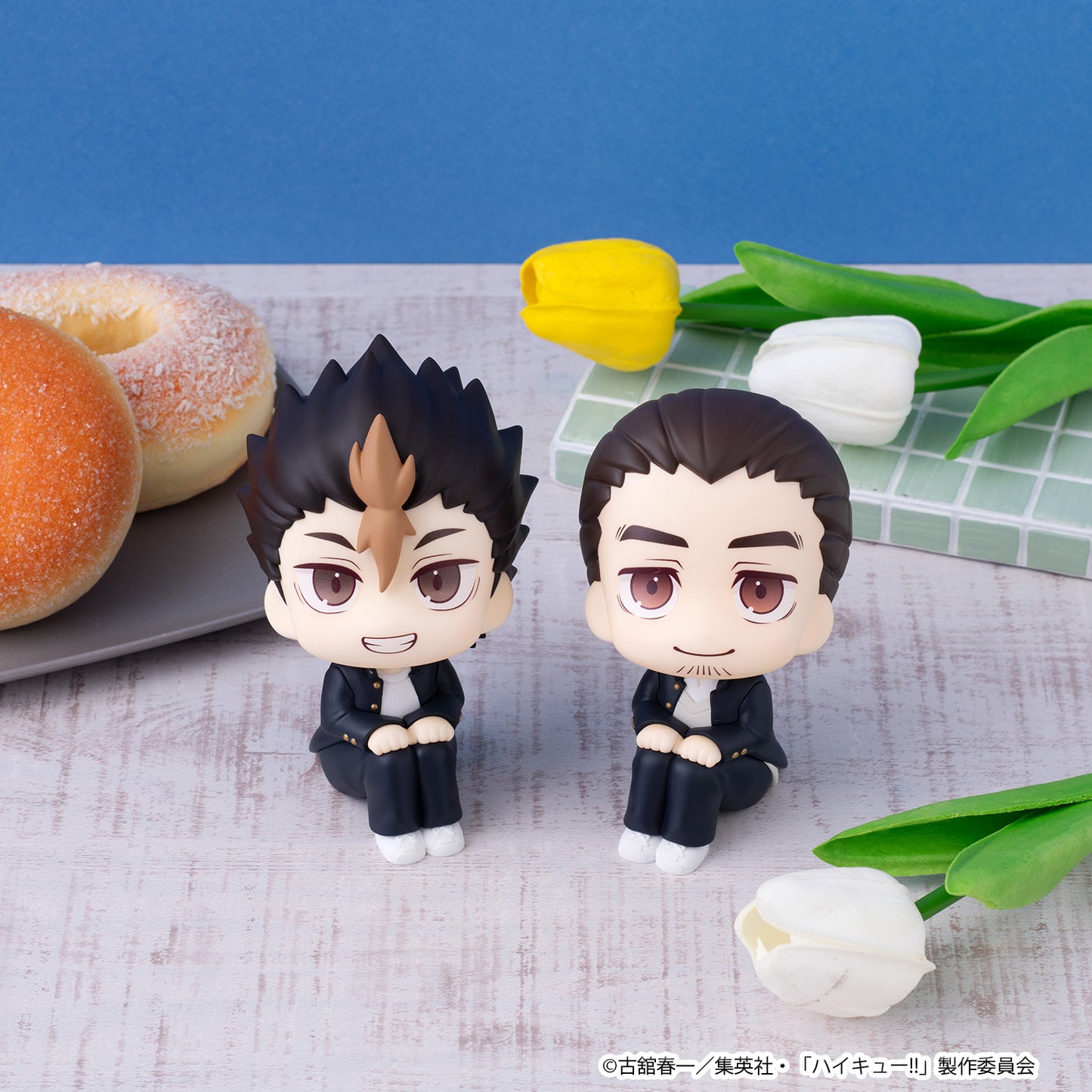 PRE ORDER – LOOKUP HAIKYU!! YU NISHINOYA