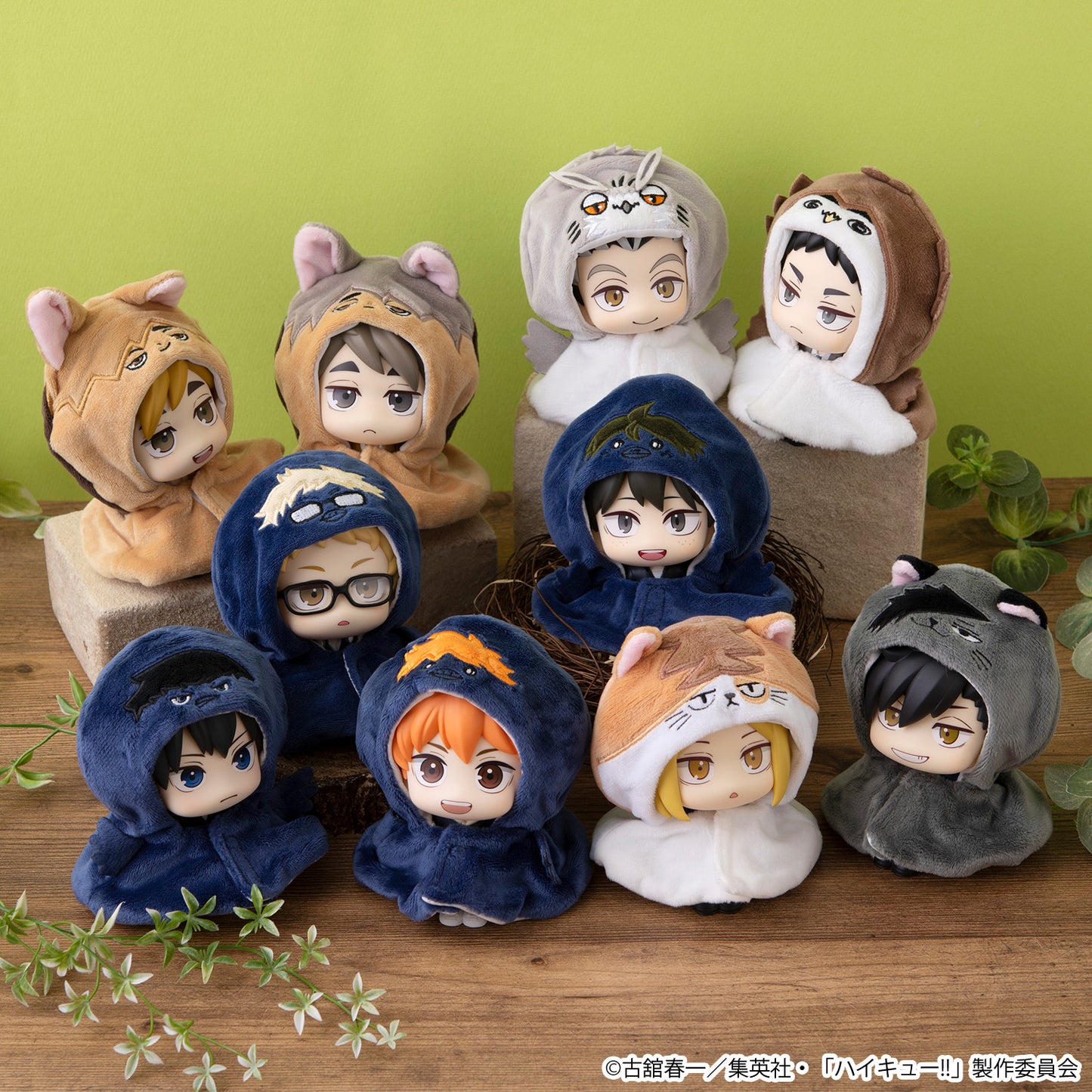 BACK ORDER – LOOKUP CAPE HAIKYU!! AKAASHI OWL