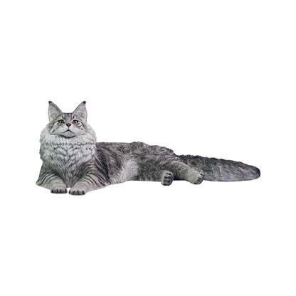 PRE ORDER – 1/6 MAINE COON D2507A