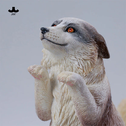PRE ORDER – JXK308-C FLUFFY FOX