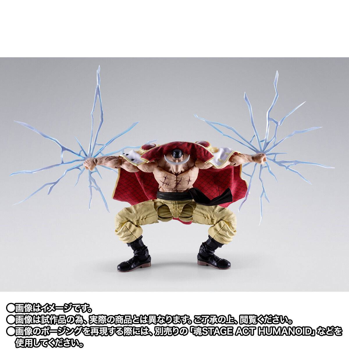PRE ORDER – S.H.FIGUARTS ONE PIECE - EDWARD.NEWGATE -MARINEFORD
