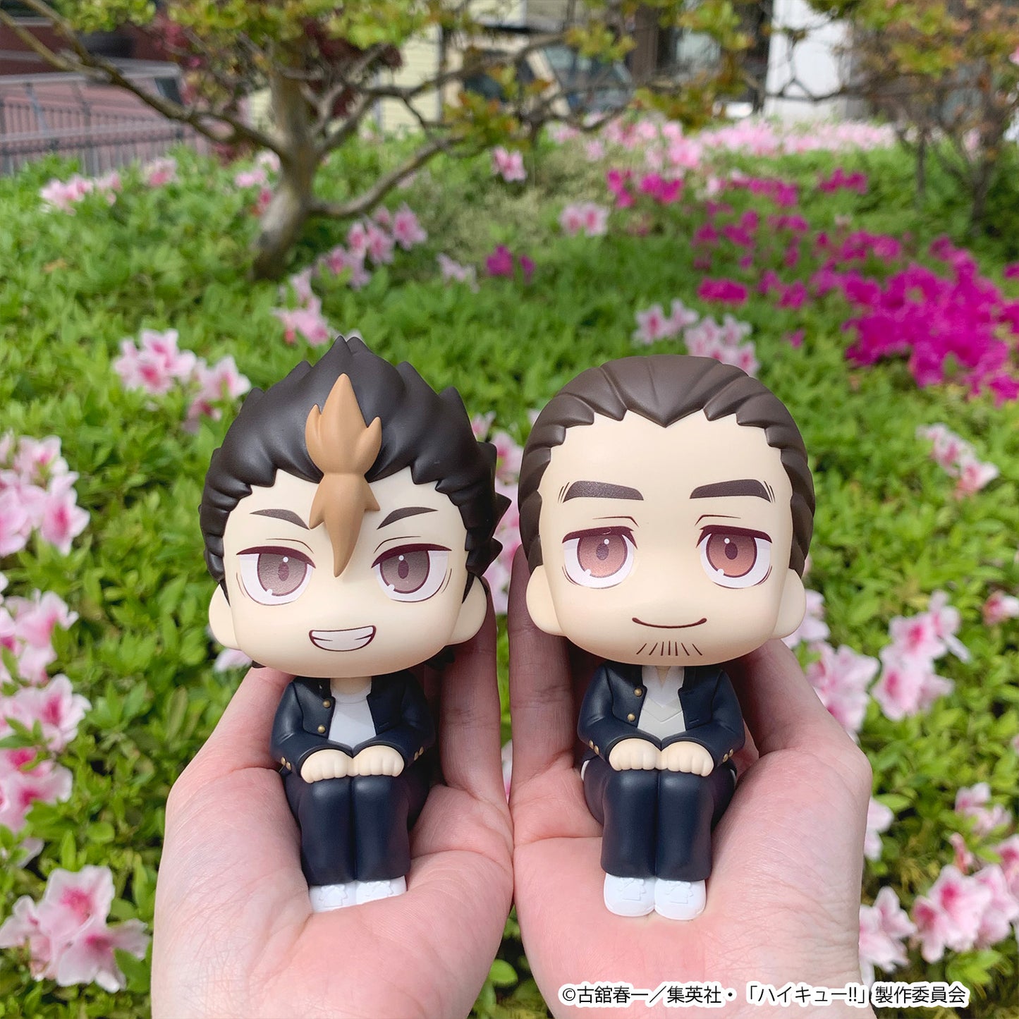 PRE ORDER – LOOKUP HAIKYU!! ASAHI AZUMANE