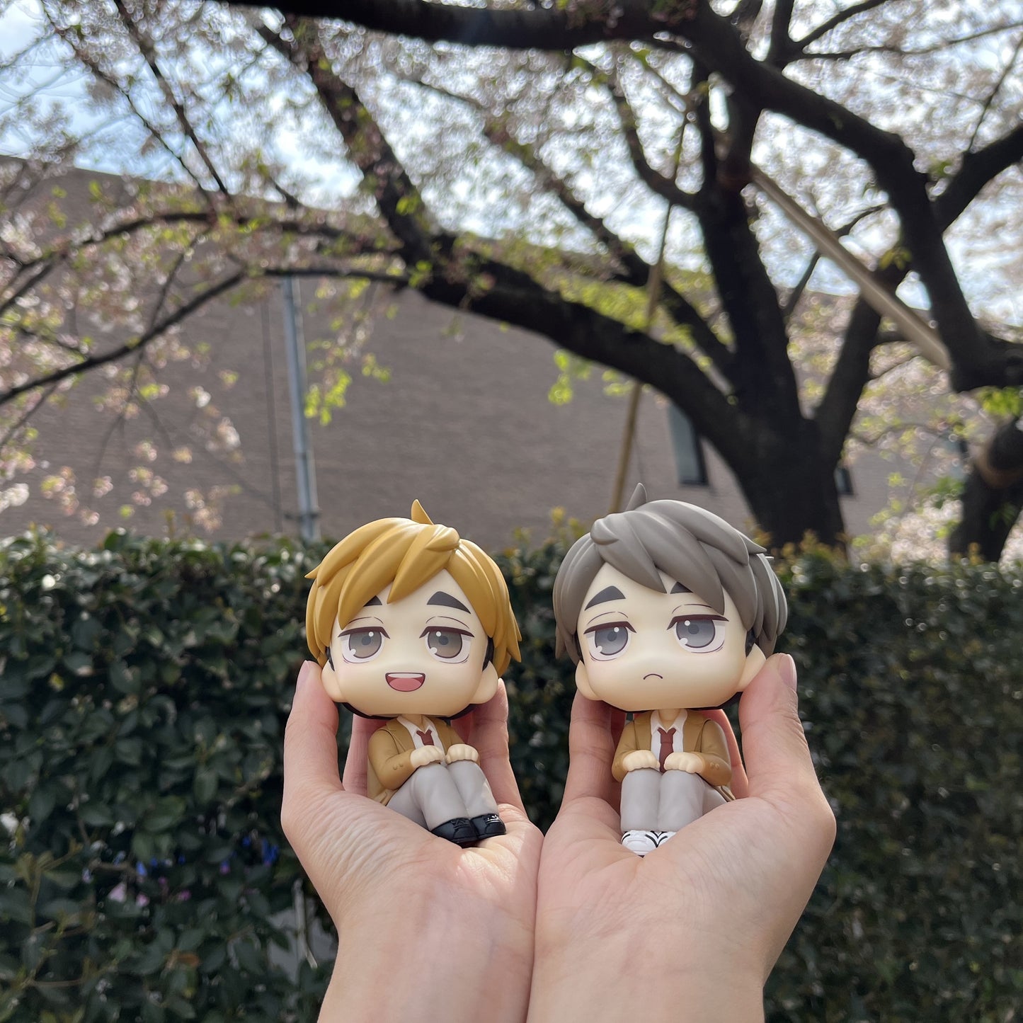 PRE ORDER – LOOKUP HAIKYU!! - ATSUMU MIYA (REPEAT)