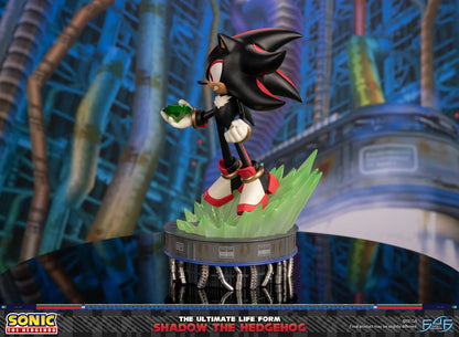 PRE ORDER – SONIC THE HEDGEHOG - THE ULTIMATE LIFE FORM: SHADOW THE HEDGEHOG STANDARD EDITION