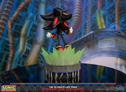 PRE ORDER – SONIC THE HEDGEHOG - THE ULTIMATE LIFE FORM: SHADOW THE HEDGEHOG STANDARD EDITION