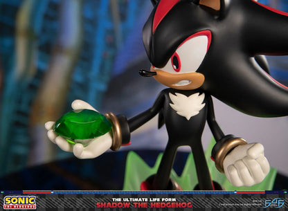 PRE ORDER – SONIC THE HEDGEHOG - THE ULTIMATE LIFE FORM: SHADOW THE HEDGEHOG STANDARD EDITION