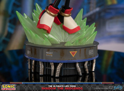 PRE ORDER – SONIC THE HEDGEHOG - THE ULTIMATE LIFE FORM: SHADOW THE HEDGEHOG STANDARD EDITION