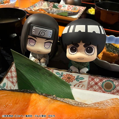 PRE ORDER – LOOKUP NARUTO SHIPPUDEN - ROCK LEE & NEJI HYUGA SET (WITH GIFT)