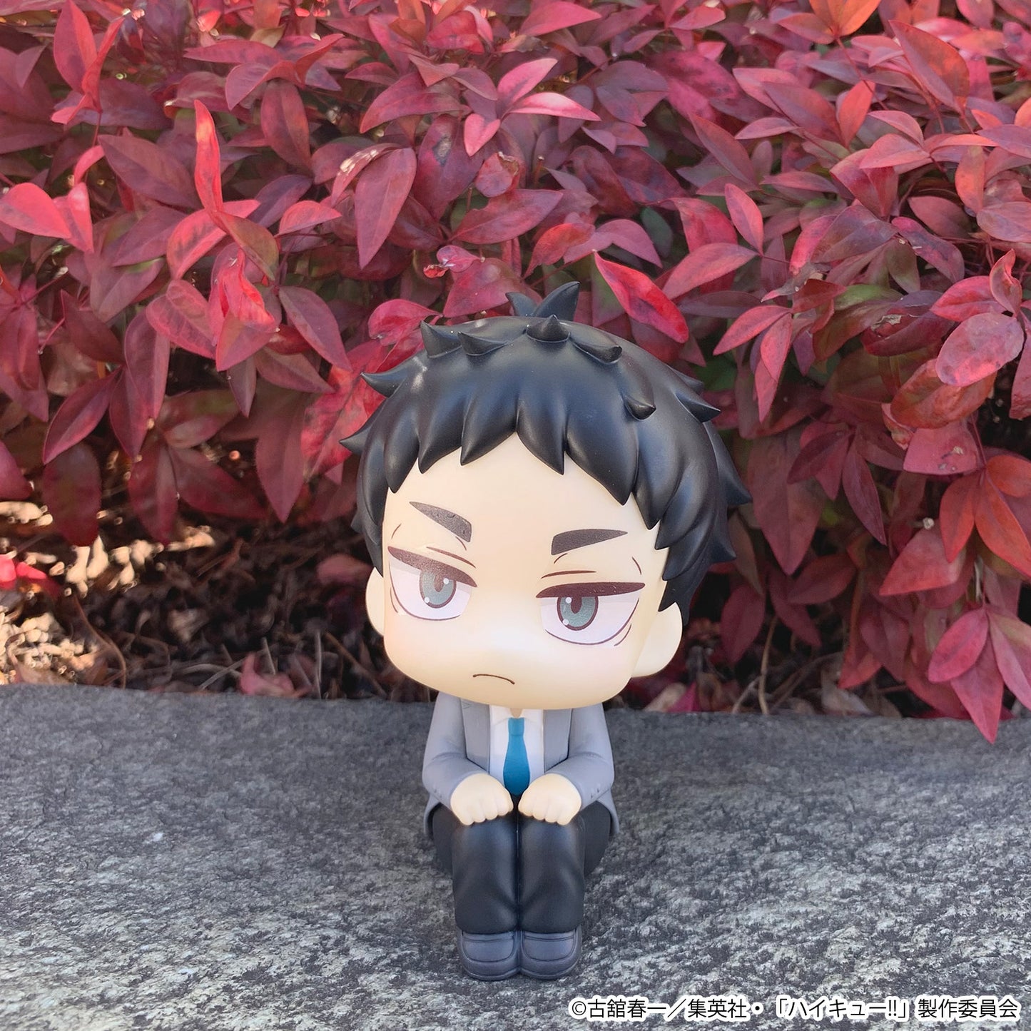 BACK ORDER – LOOKUP HAIKYU!! KEIJI AKAASHI (REPEAT)