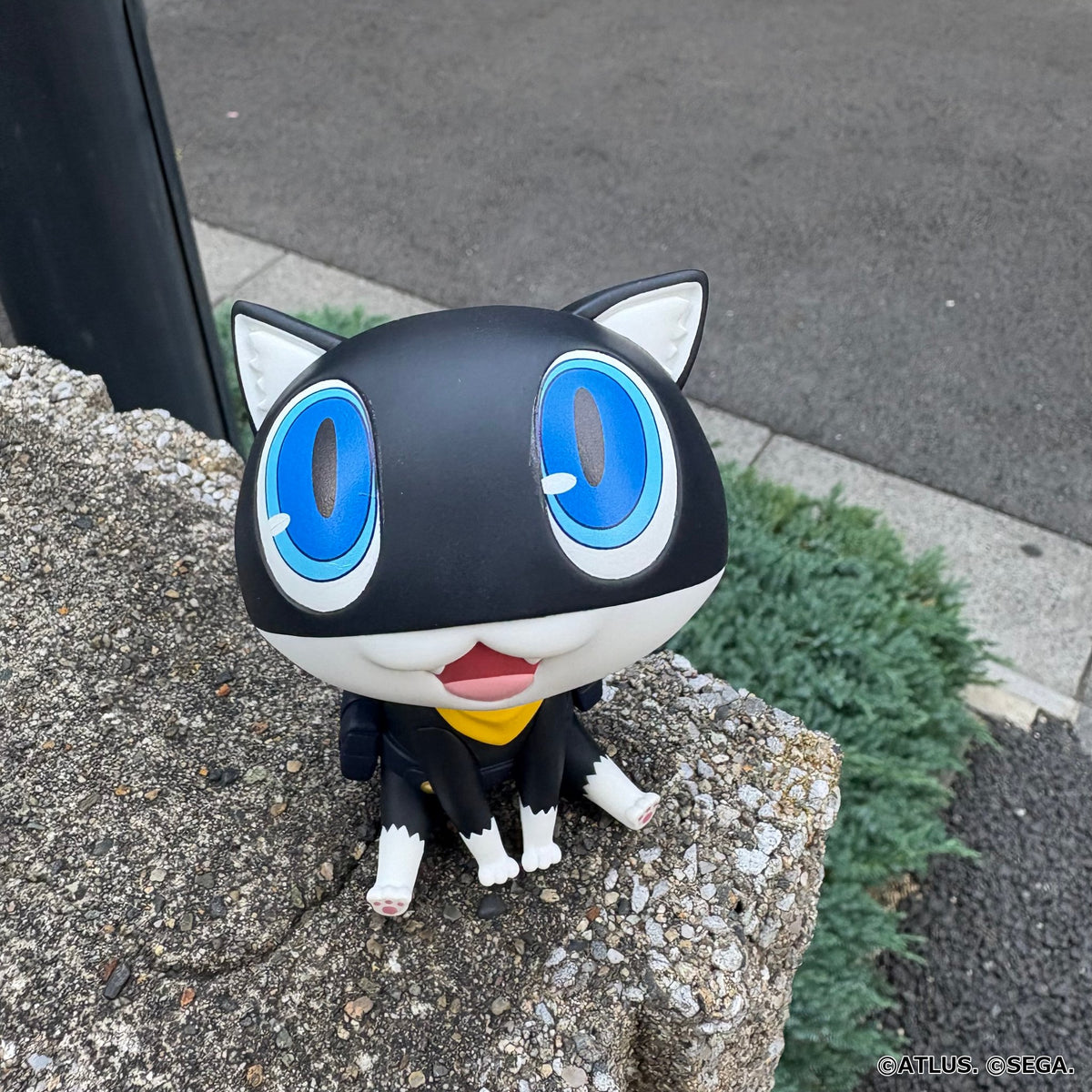 PRE ORDER – LOOKUP PERSONA 5 THE ROYAL - MORGANA
