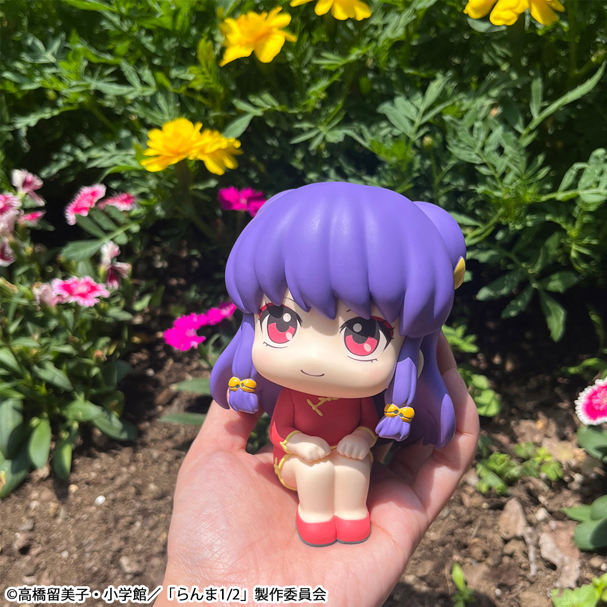 PRE ORDER – LOOKUP TV ANIME RANMA 1／2  SHAMPOO
