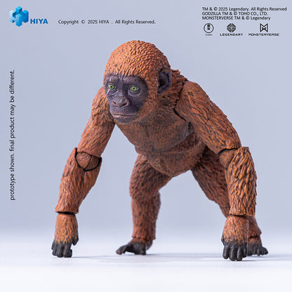 PRE ORDER – HIYA TOYS GODZILLA X KONG THE NEW EMPIRE MOTHRA PREMIUM SET EBG0160