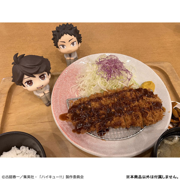 BACK ORDER – LOOKUP HAIKYU!! - TORU OIKAWA (REPEAT)