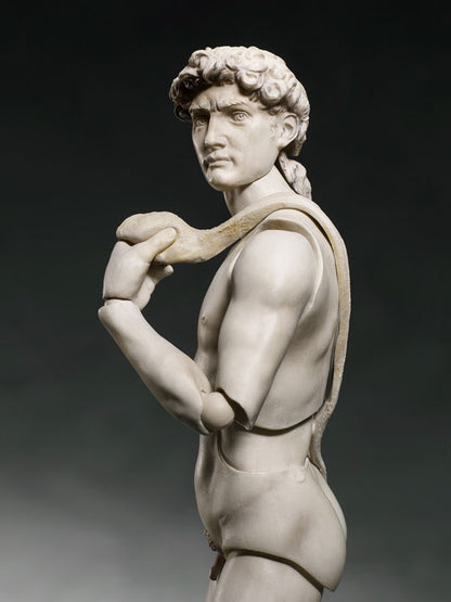 PRE ORDER – FIGMA DAVID