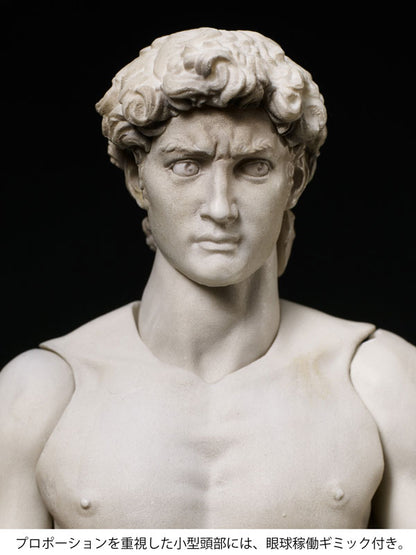 PRE ORDER – FIGMA DAVID