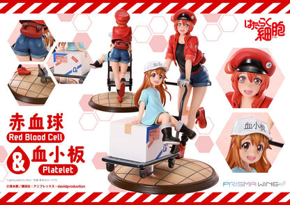 PRE ORDER – PRISMA WING CELLS AT WORK RED BLOOD CELL & PLATELET NON SCALE PRE-PAINTED FIGURE