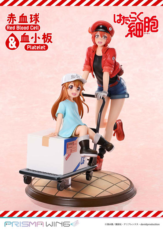 PRE ORDER – PRISMA WING CELLS AT WORK RED BLOOD CELL & PLATELET NON SCALE PRE-PAINTED FIGURE