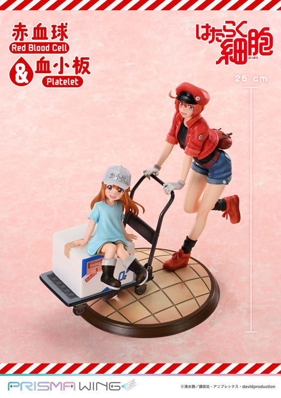 PRE ORDER – PRISMA WING CELLS AT WORK RED BLOOD CELL & PLATELET NON SCALE PRE-PAINTED FIGURE