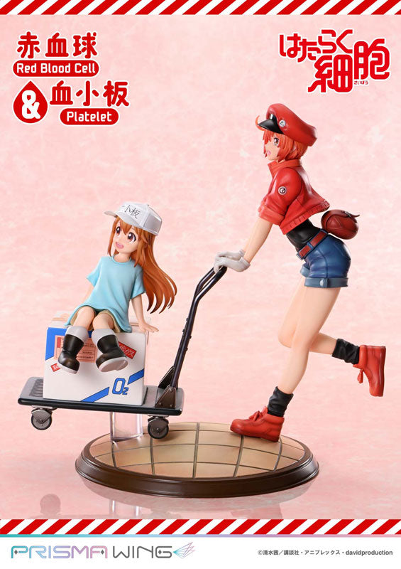 PRE ORDER – PRISMA WING CELLS AT WORK RED BLOOD CELL & PLATELET NON SCALE PRE-PAINTED FIGURE