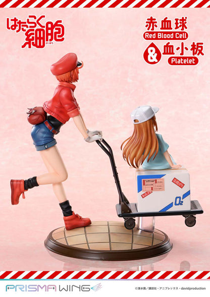 PRE ORDER – PRISMA WING CELLS AT WORK RED BLOOD CELL & PLATELET NON SCALE PRE-PAINTED FIGURE