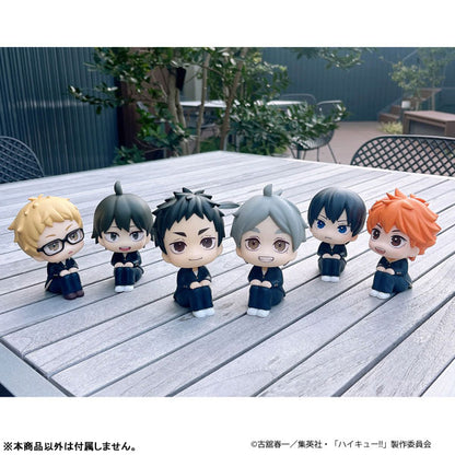 PRE ORDER – LOOKUP HAIKYU!! KOUSHI SUGAWARA