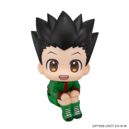 BACK ORDER – LOOKUP HUNTER×HUNTER - GON FREECSS