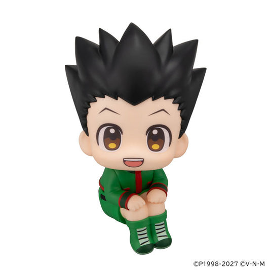 BACK ORDER – LOOKUP HUNTER×HUNTER - GON FREECSS
