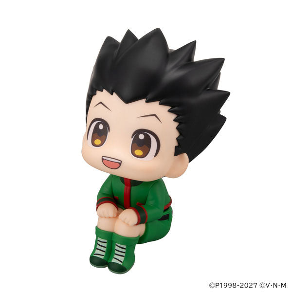 BACK ORDER – LOOKUP HUNTER×HUNTER - GON FREECSS