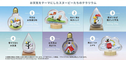 PRE ORDER – SNOOPY WEATHER TERRARIUM (BOX OF 6)