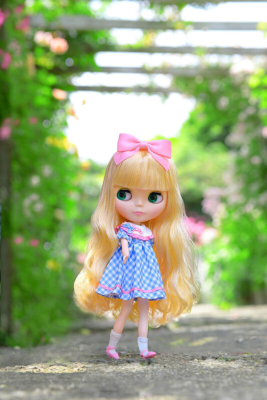 PRE ORDER – BLYTHE - DOLLY DAYS - WEEKEND