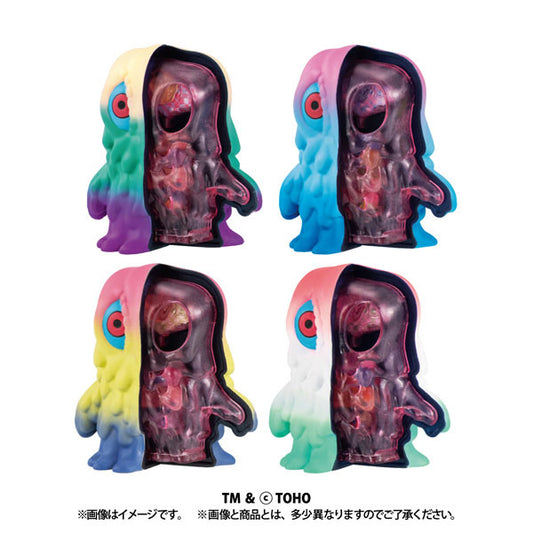 PRE ORDER – INSIDE FANTASY GODZILLA - HEDORAH (BOX OF 4)