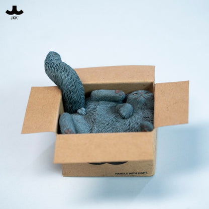 PRE ORDER – JXK & SMALL CARDBOARD BOX CAT 5.0 JS2504B