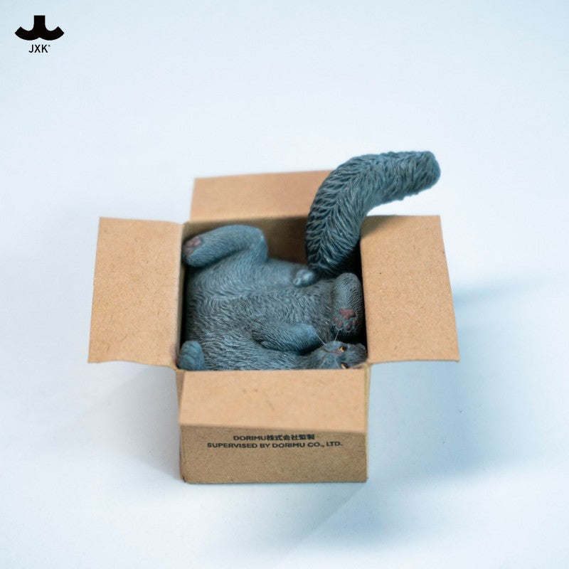 PRE ORDER – JXK & SMALL CARDBOARD BOX CAT 5.0 JS2504B